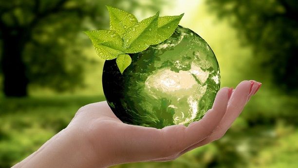 Celebrating World Environment Day with a Sustainable Vision